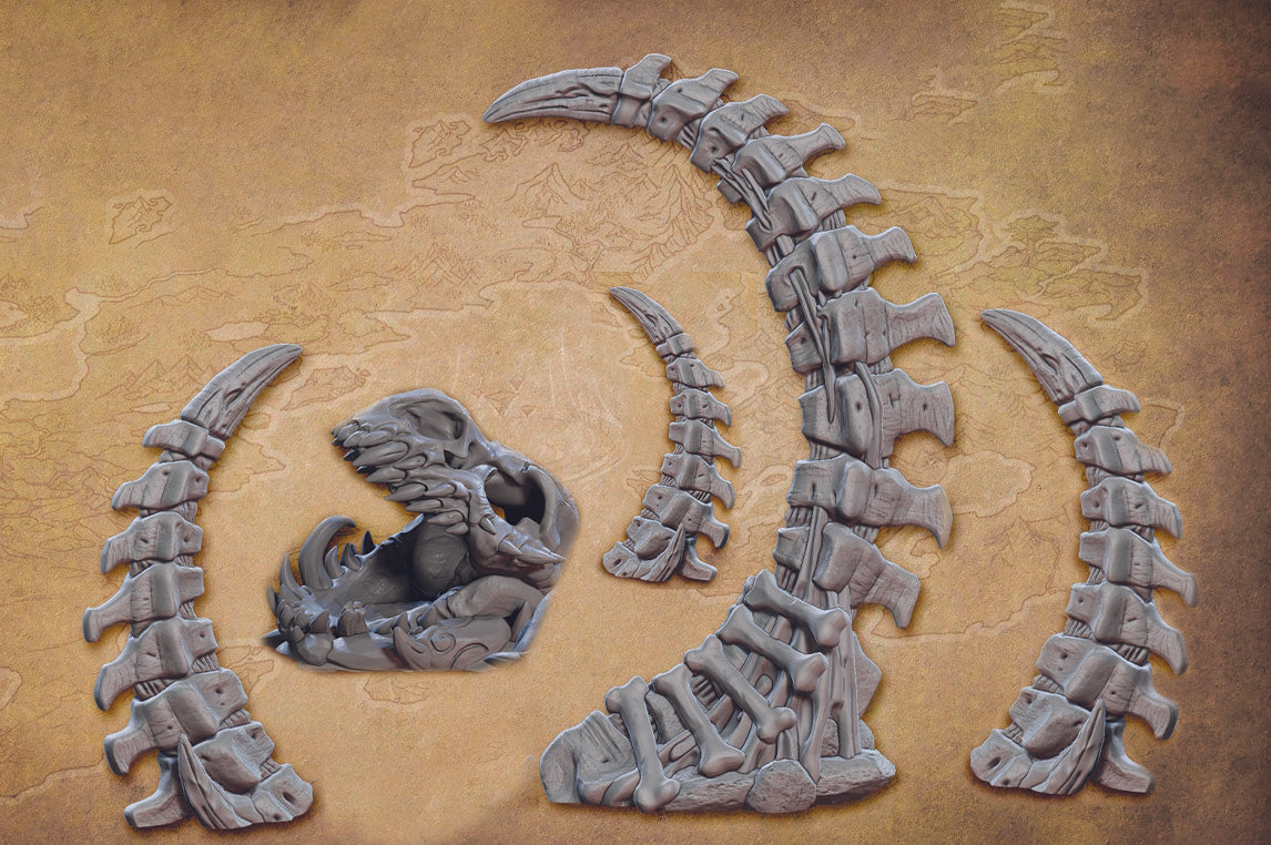 Spine Spires and Skull