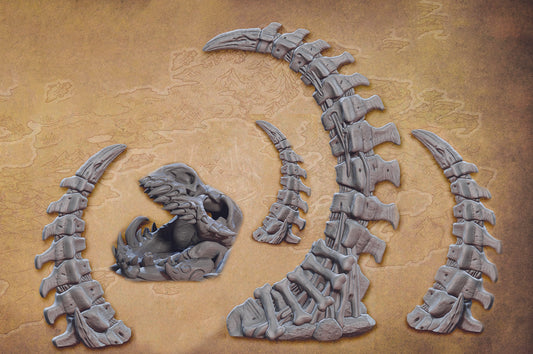 Spine Spires and Skull