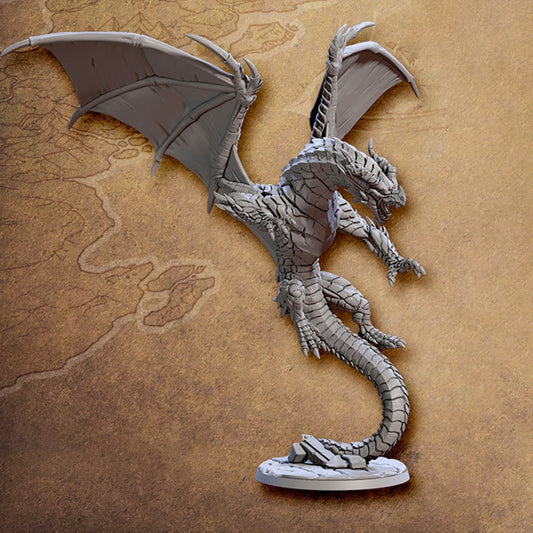 Young White Dragon