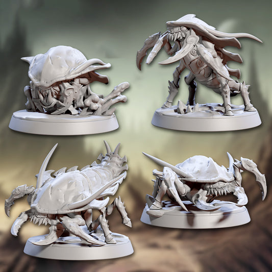 Ankhegs