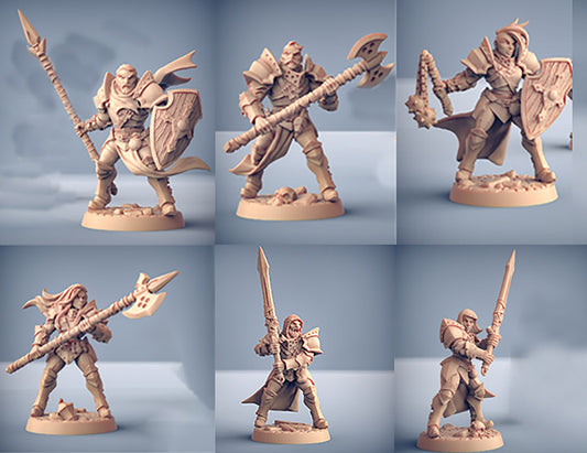 Fighters Guild / City Guard - Set of 6