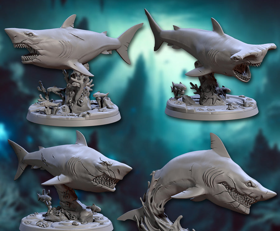 Sharks